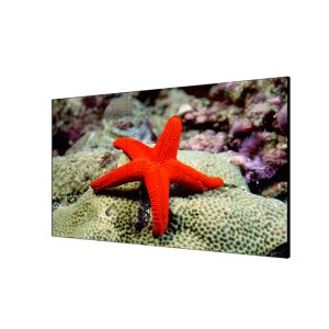 Hikvision D2055LU-Y ЖК-дисплей 55"